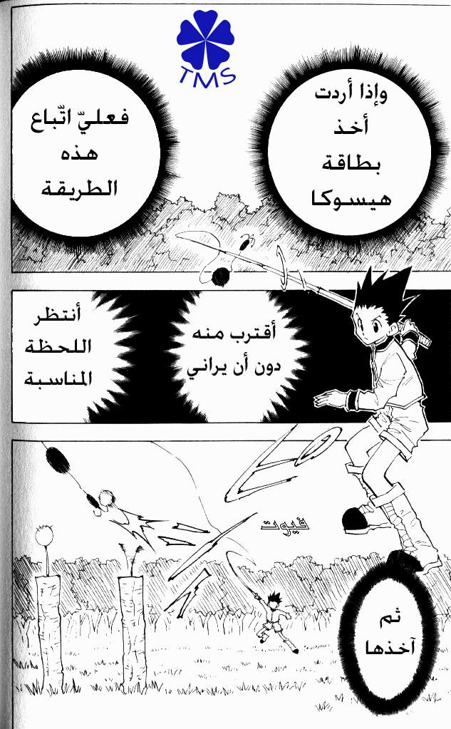 Hunter x Hunter: Chapter 24 - Page 11