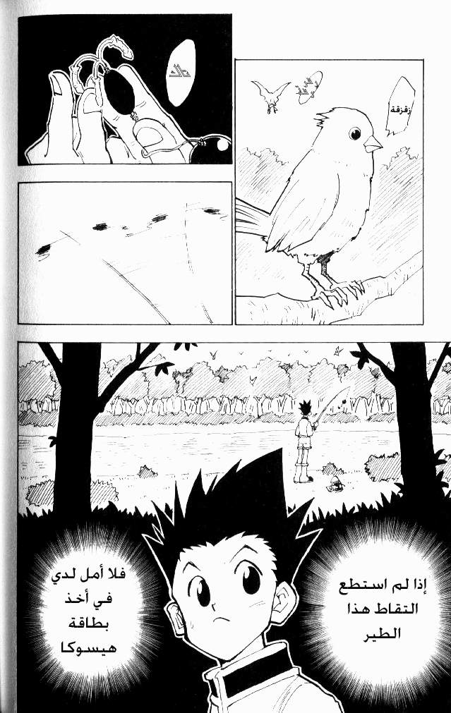 Hunter x Hunter: Chapter 24 - Page 15