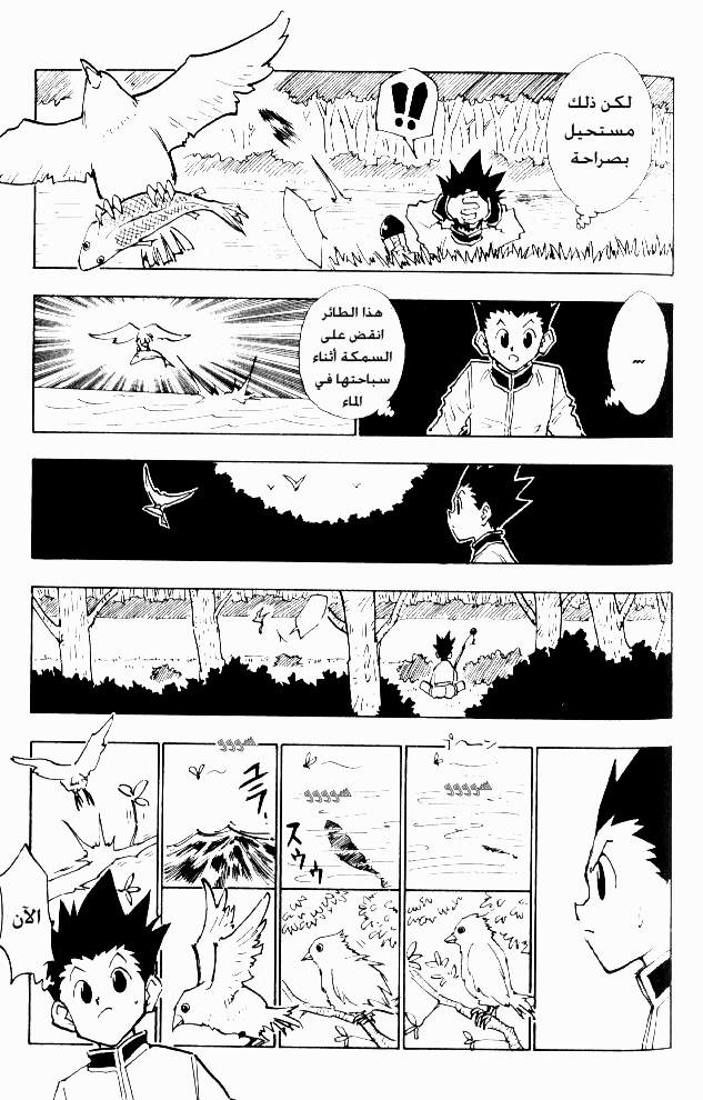 Hunter x Hunter: Chapter 24 - Page 18