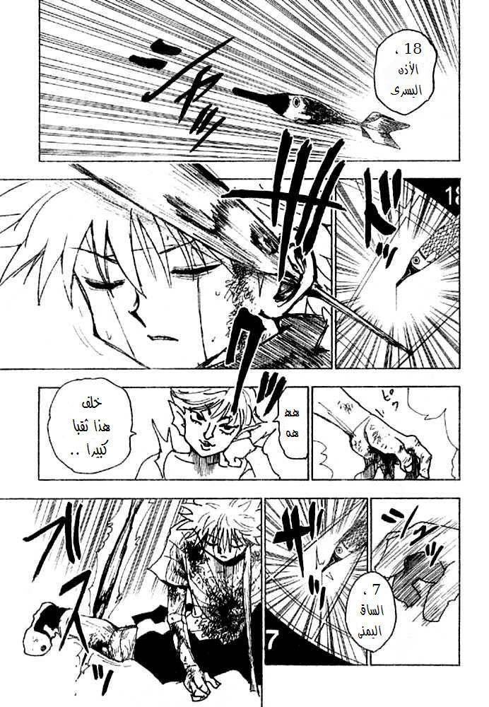 Hunter x Hunter: Chapter 240 - Page 6