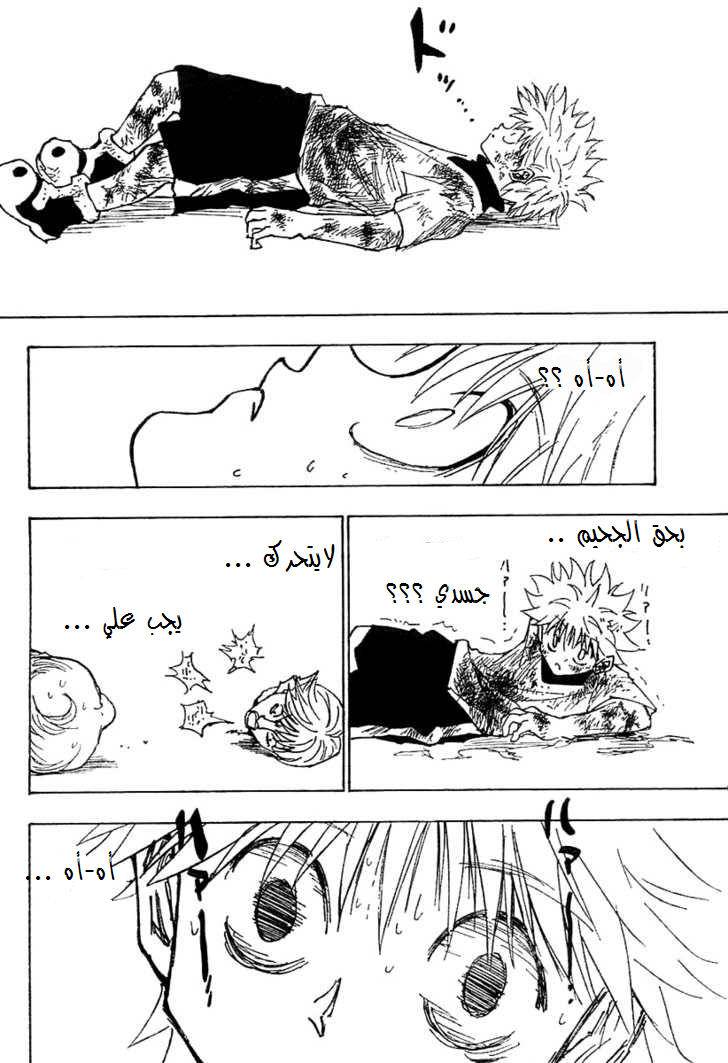 Hunter x Hunter: Chapter 241 - Page 3