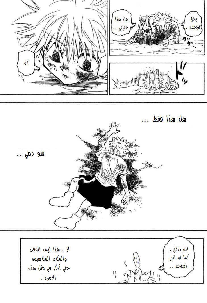 Hunter x Hunter: Chapter 241 - Page 4