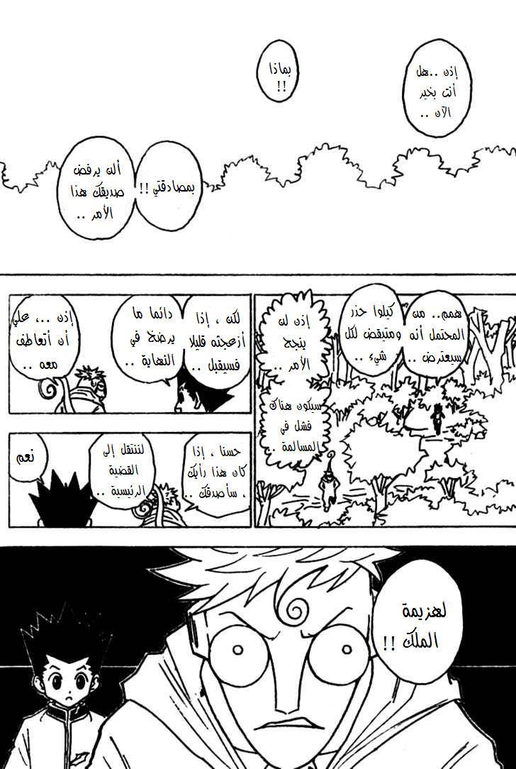 Hunter x Hunter: Chapter 242 - Page 11