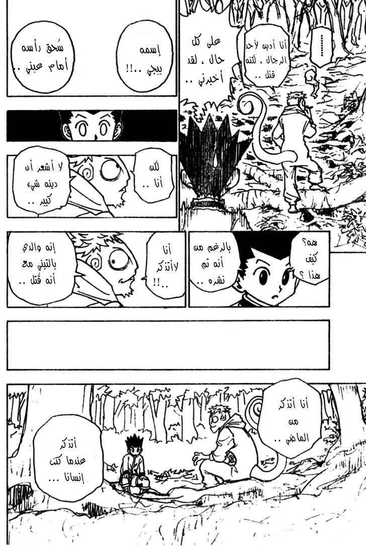 Hunter x Hunter: Chapter 242 - Page 13