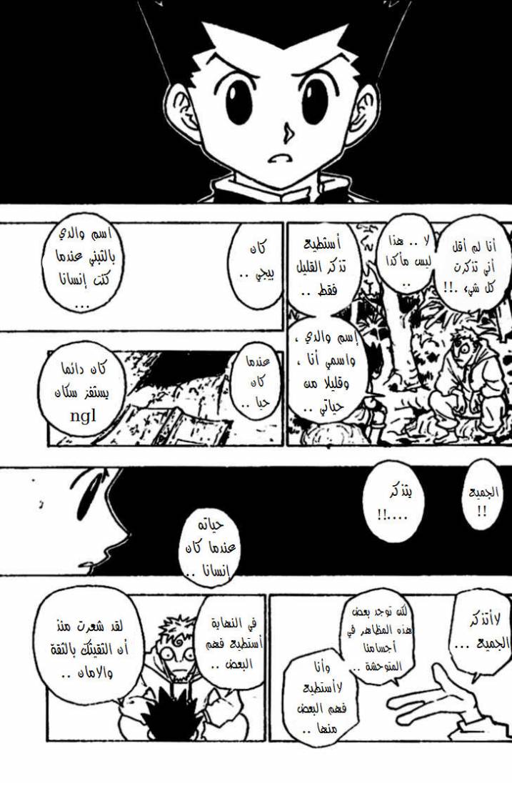 Hunter x Hunter: Chapter 242 - Page 14