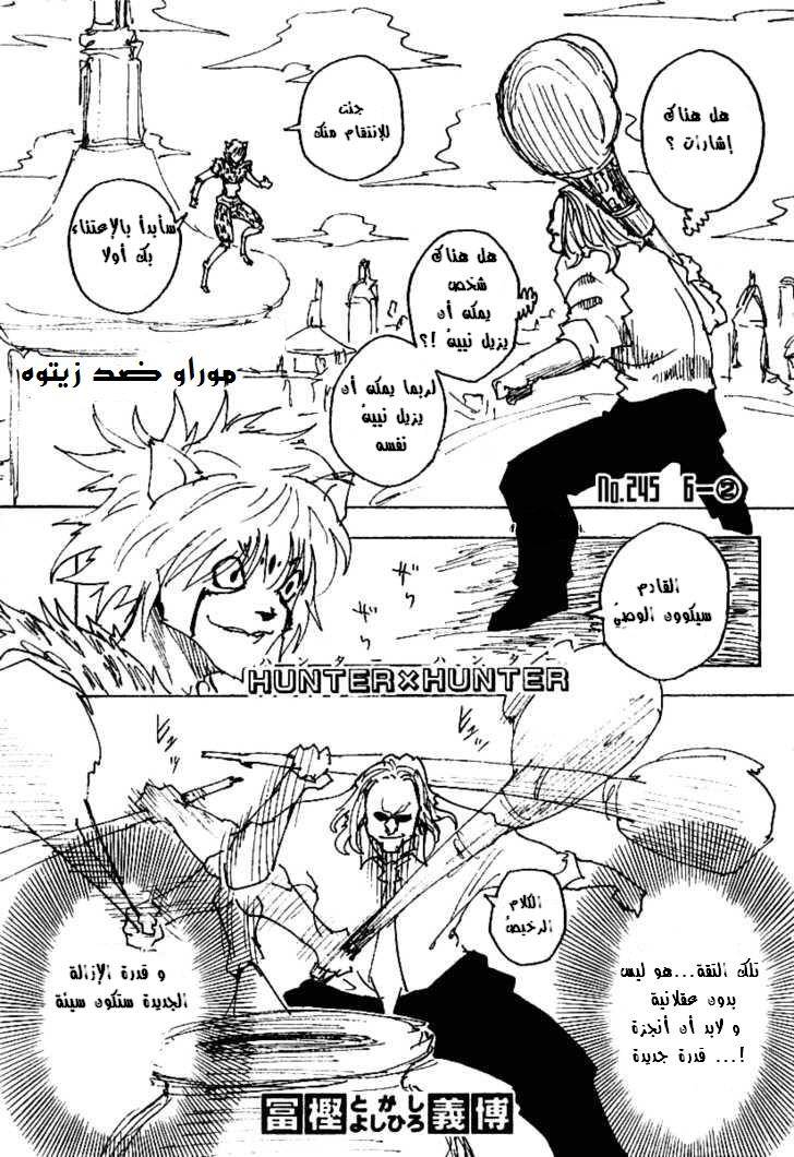 Hunter x Hunter: Chapter 245 - Page 2
