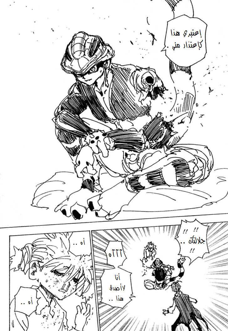 Hunter x Hunter: Chapter 249 - Page 9