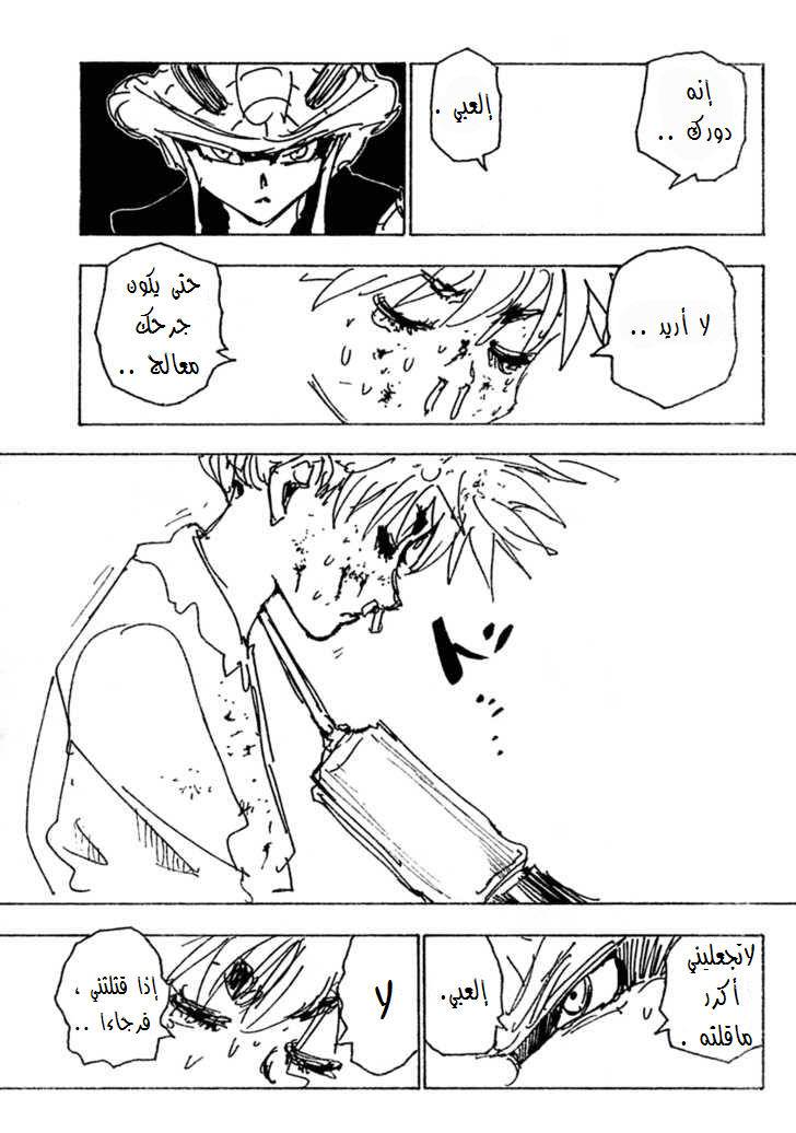 Hunter x Hunter: Chapter 249 - Page 12