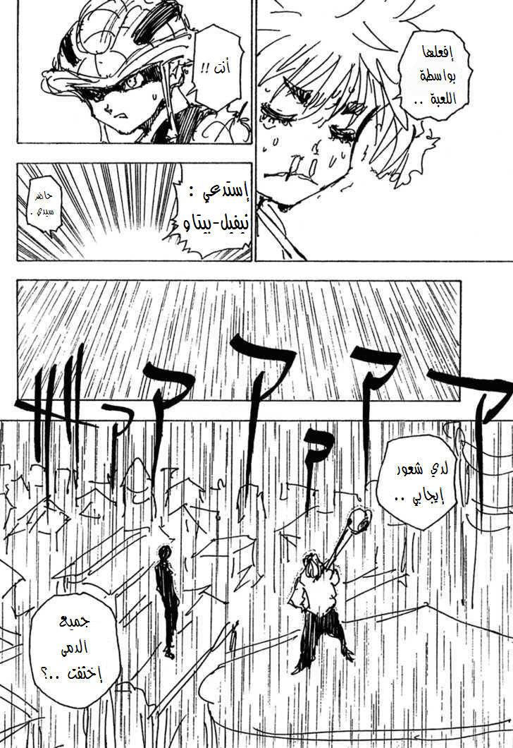 Hunter x Hunter: Chapter 249 - Page 13