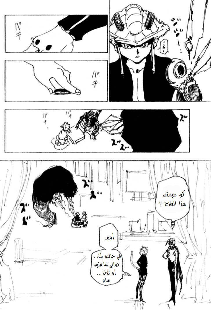 Hunter x Hunter: Chapter 250 - Page 3