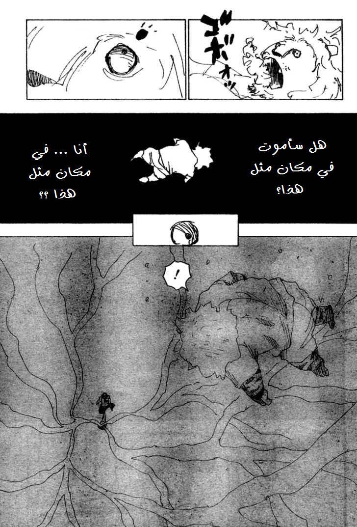 Hunter x Hunter: Chapter 254 - Page 12