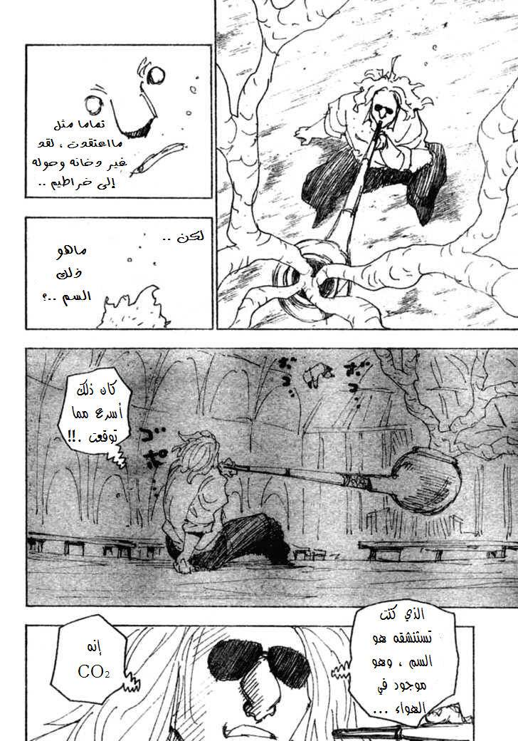 Hunter x Hunter: Chapter 254 - Page 13