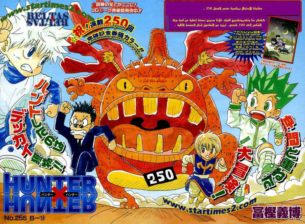 Hunter x Hunter: Chapter 255 - Page 4