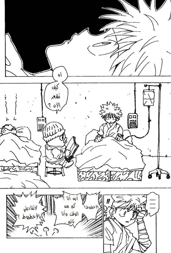 Hunter x Hunter: Chapter 255 - Page 5