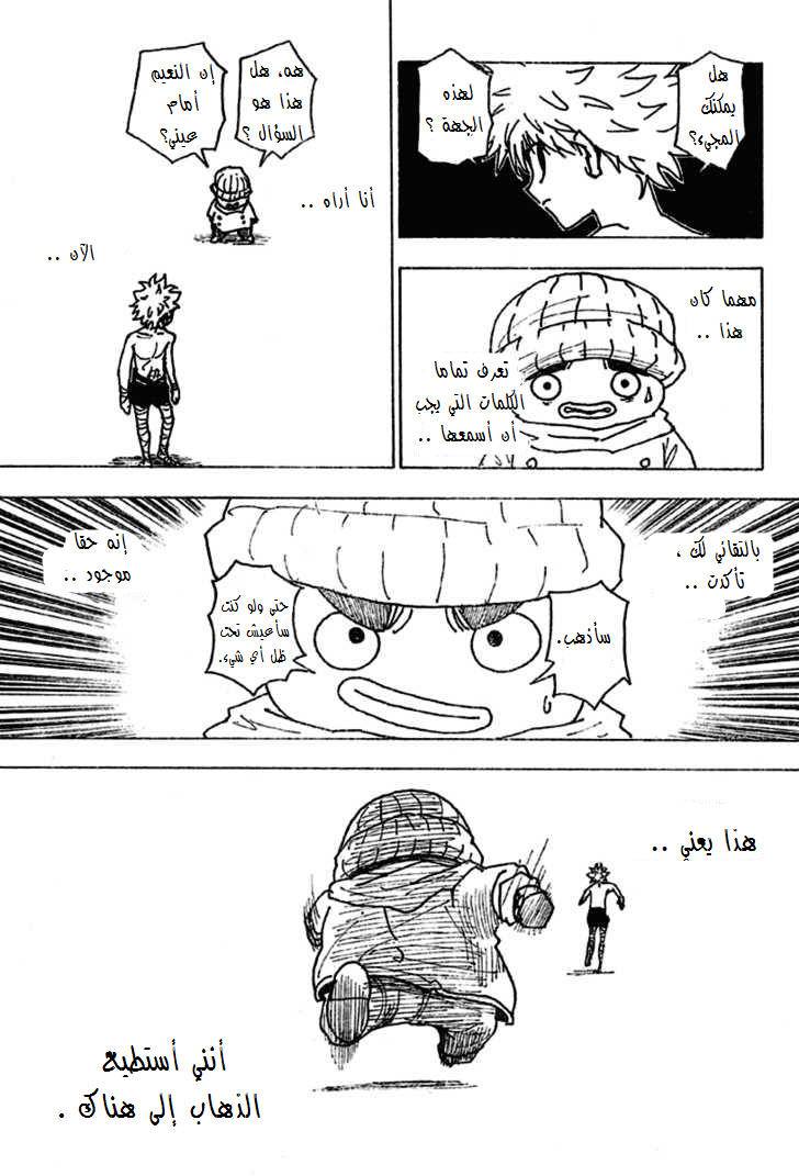 Hunter x Hunter: Chapter 255 - Page 14