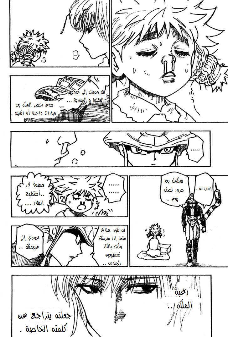 Hunter x Hunter: Chapter 255 - Page 17