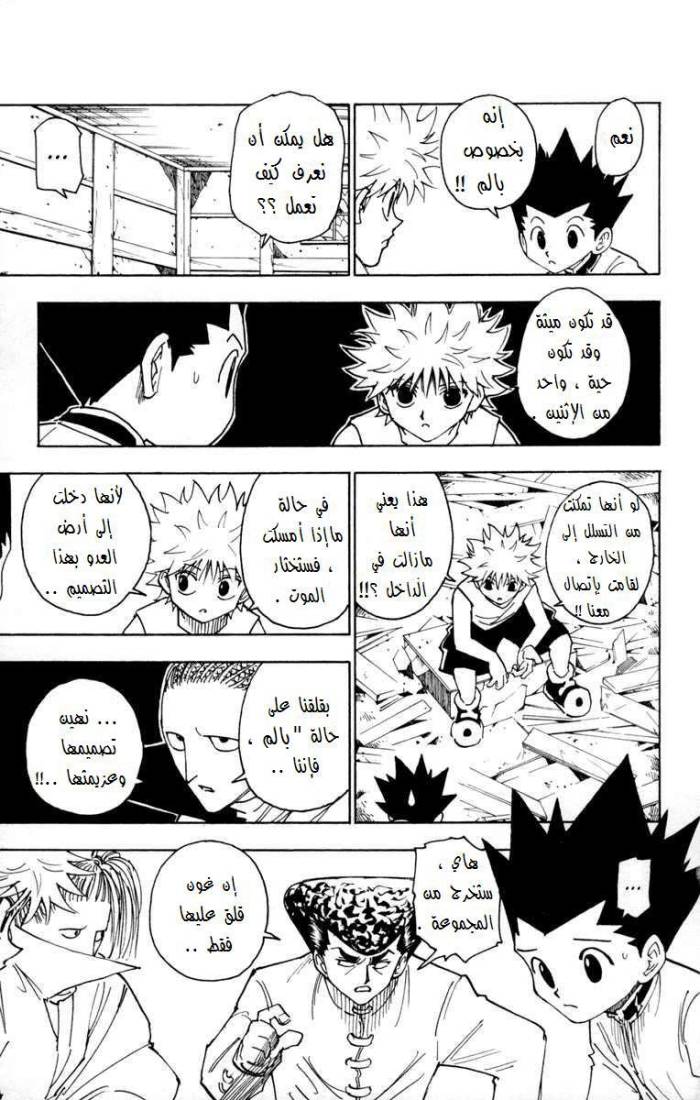 Hunter x Hunter: Chapter 256 - Page 8