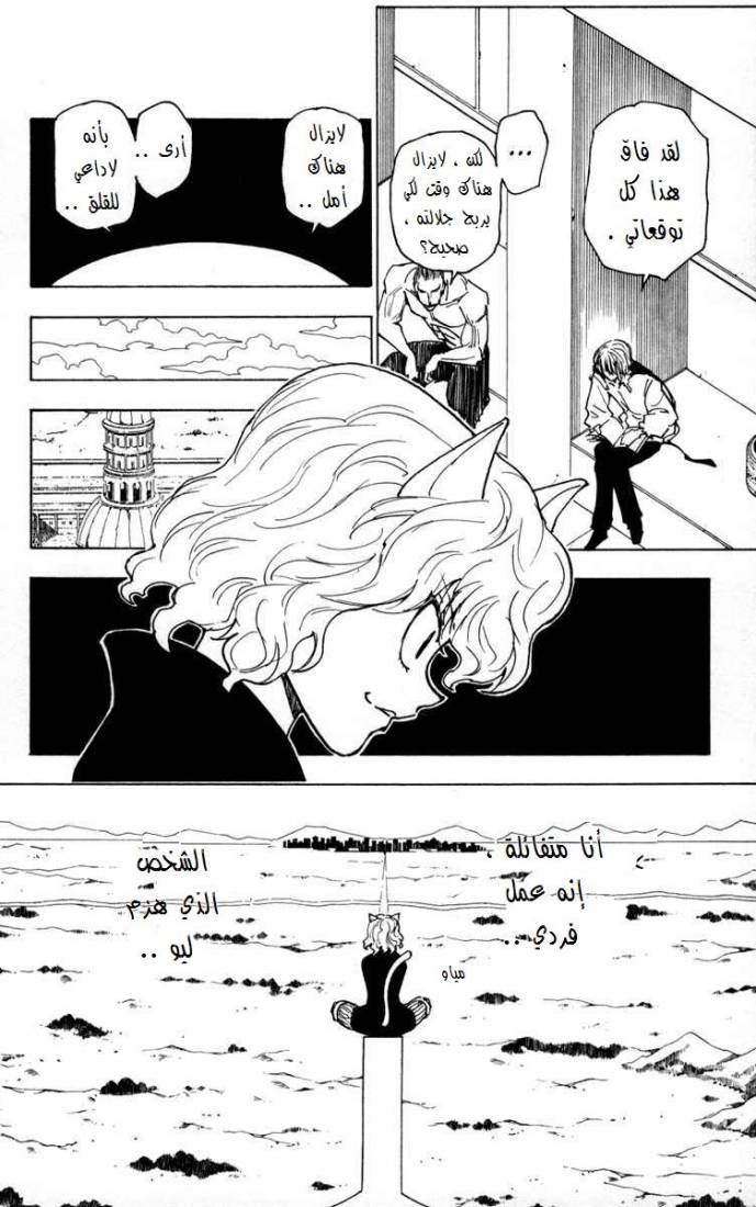 Hunter x Hunter: Chapter 256 - Page 13