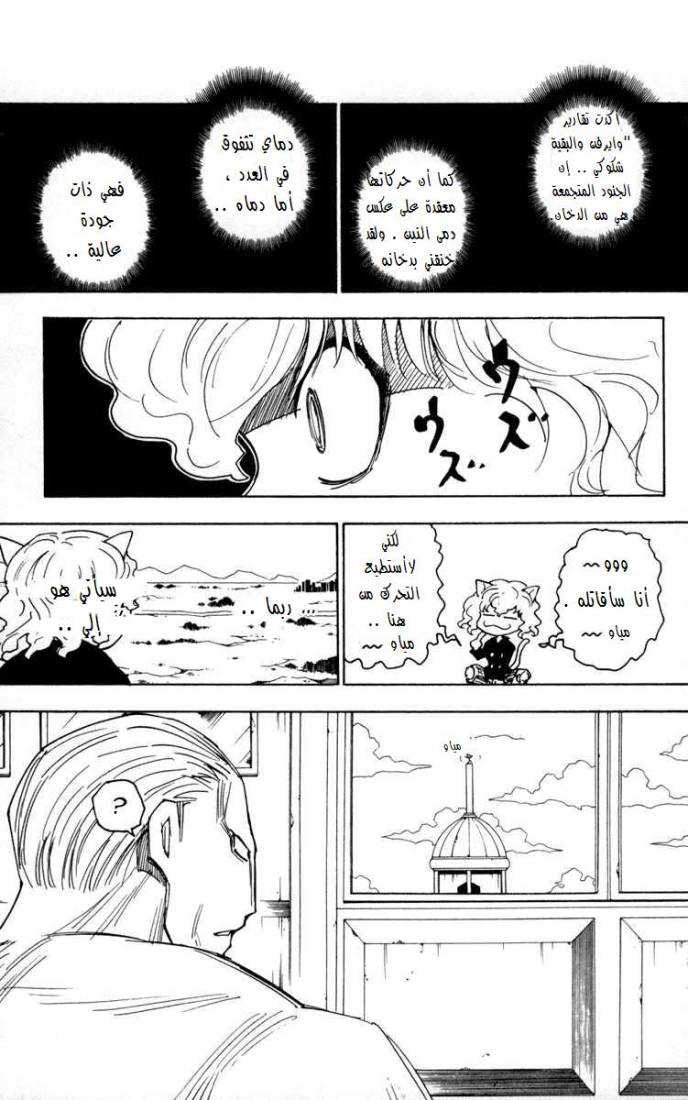 Hunter x Hunter: Chapter 256 - Page 14