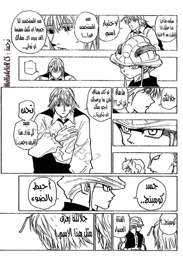 Hunter x Hunter: Chapter 257 - Page 11