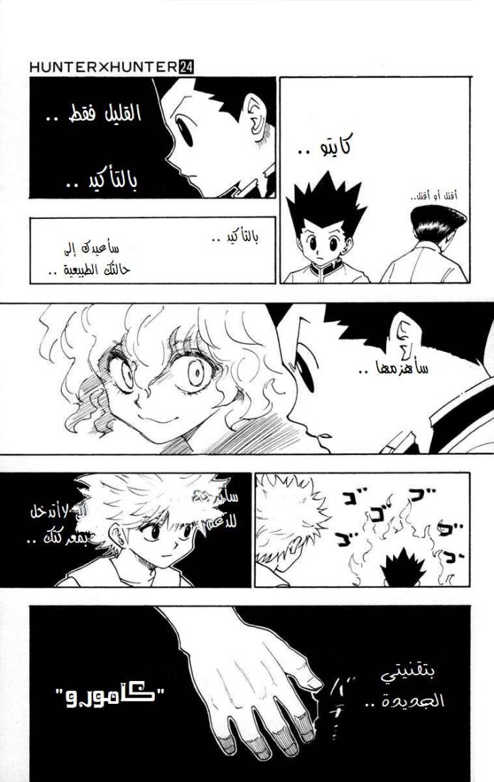 Hunter x Hunter: Chapter 260 - Page 8