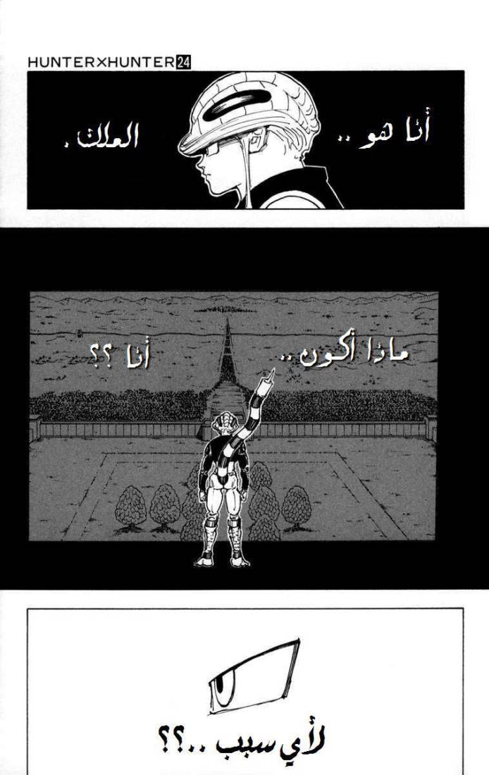 Hunter x Hunter: Chapter 260 - Page 12