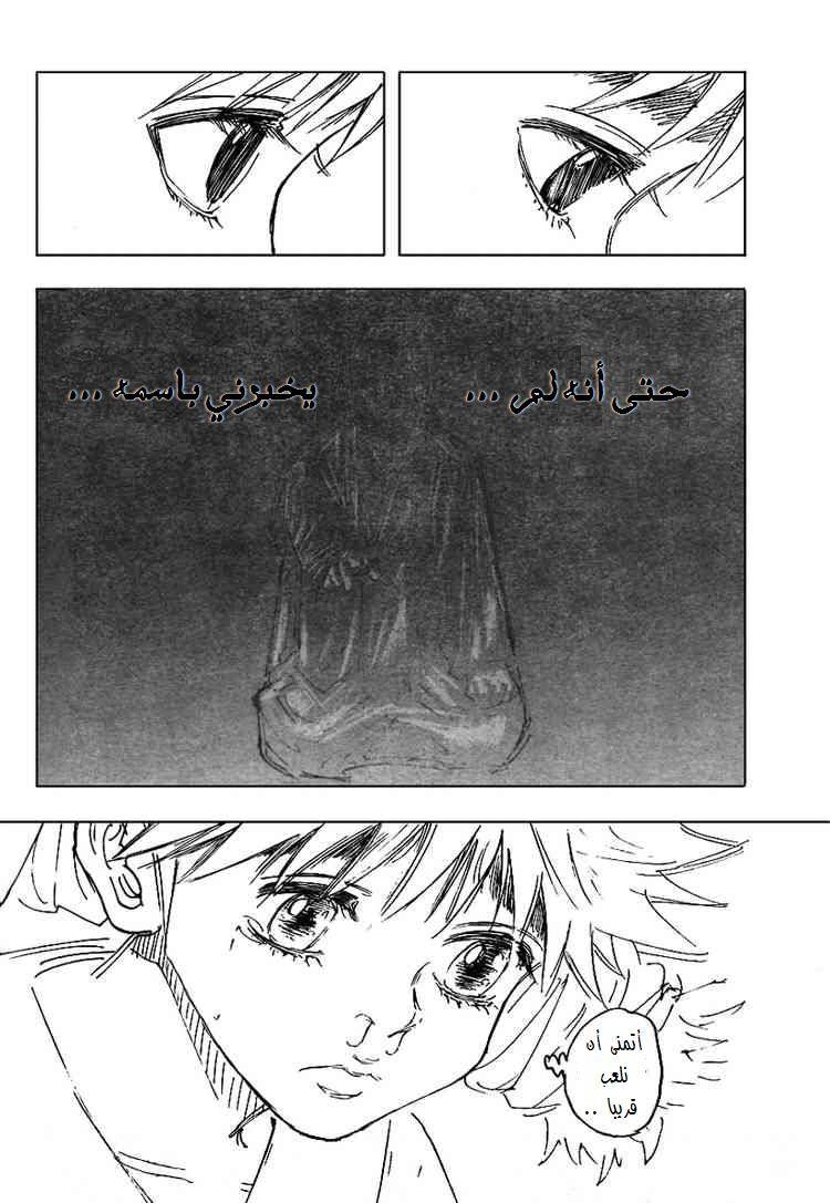 Hunter x Hunter: Chapter 261 - Page 12