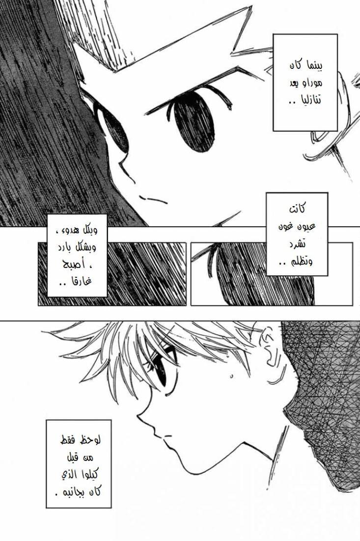 Hunter x Hunter: Chapter 263 - Page 8