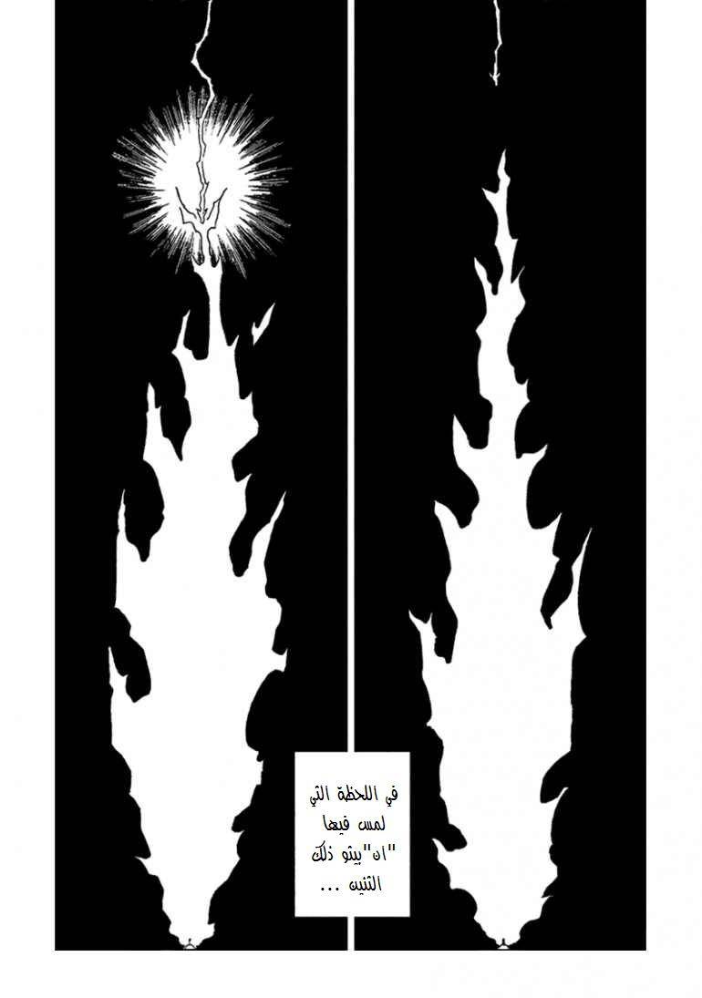 Hunter x Hunter: Chapter 263 - Page 13