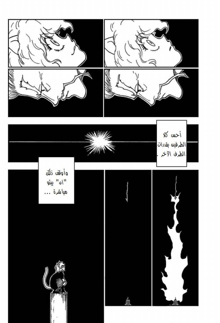 Hunter x Hunter: Chapter 263 - Page 14