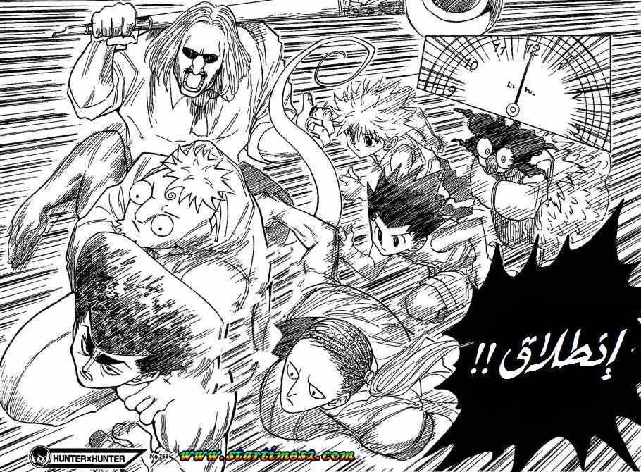 Hunter x Hunter: Chapter 263 - Page 18