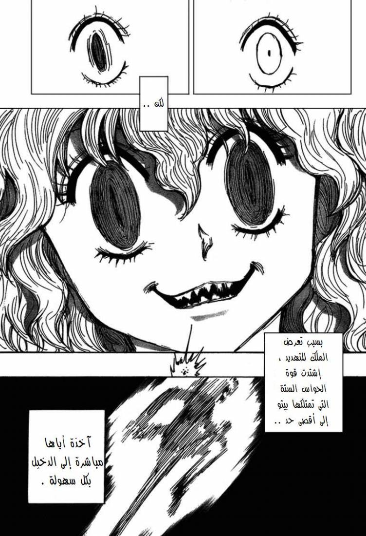 Hunter x Hunter: Chapter 264 - Page 5