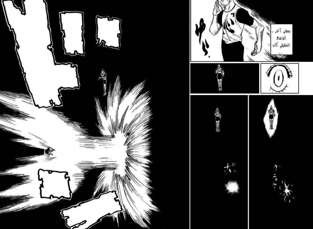 Hunter x Hunter: Chapter 264 - Page 13