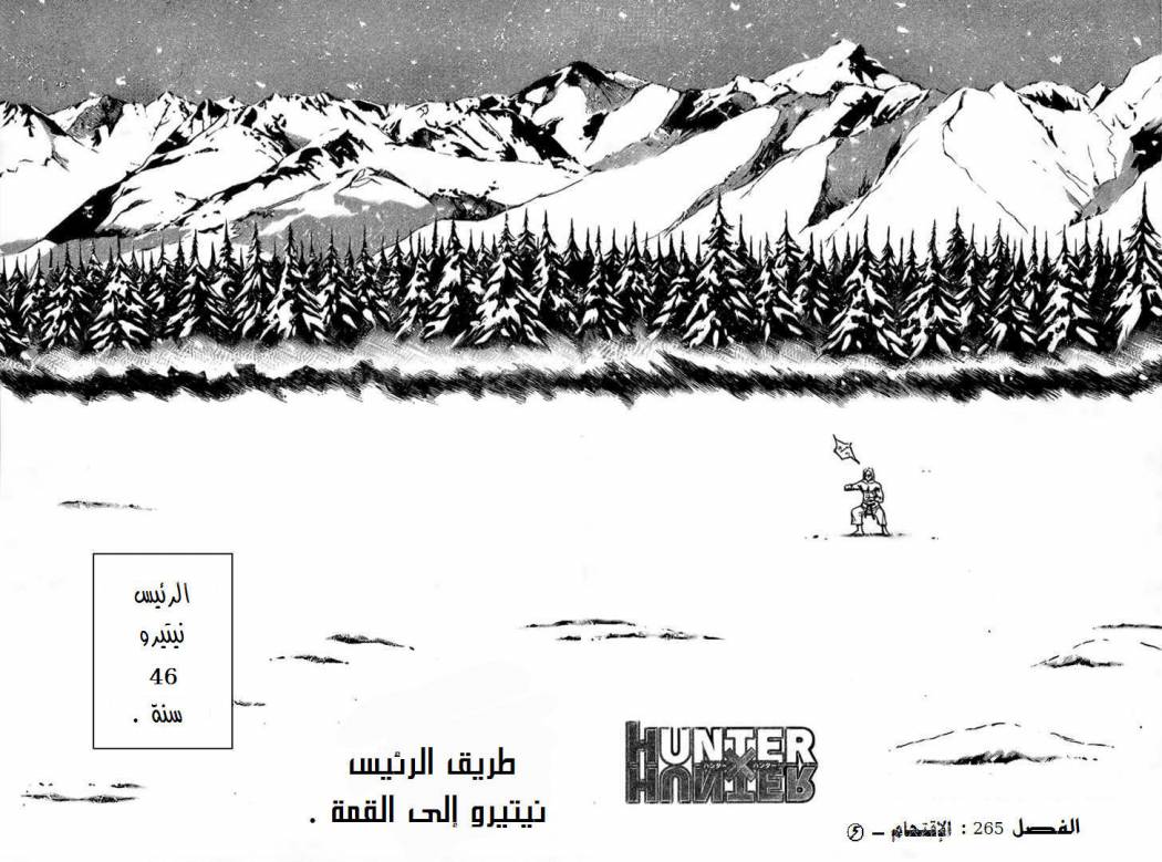 Hunter x Hunter: Chapter 265 - Page 3