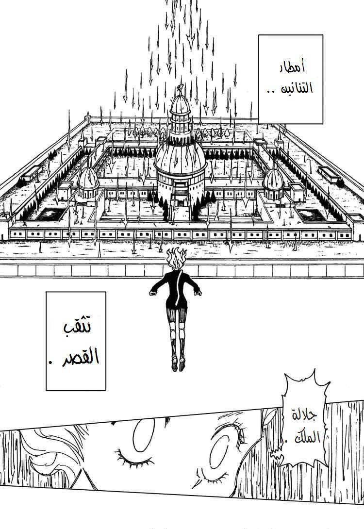 Hunter x Hunter: Chapter 265 - Page 14