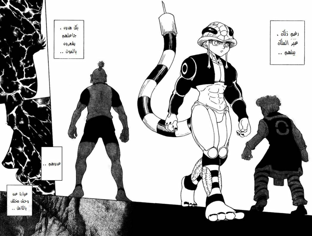 Hunter x Hunter: Chapter 268 - Page 11