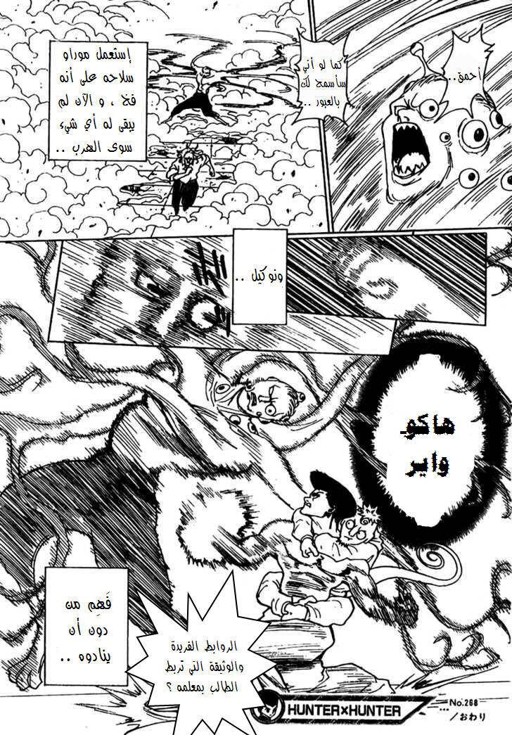 Hunter x Hunter: Chapter 268 - Page 17