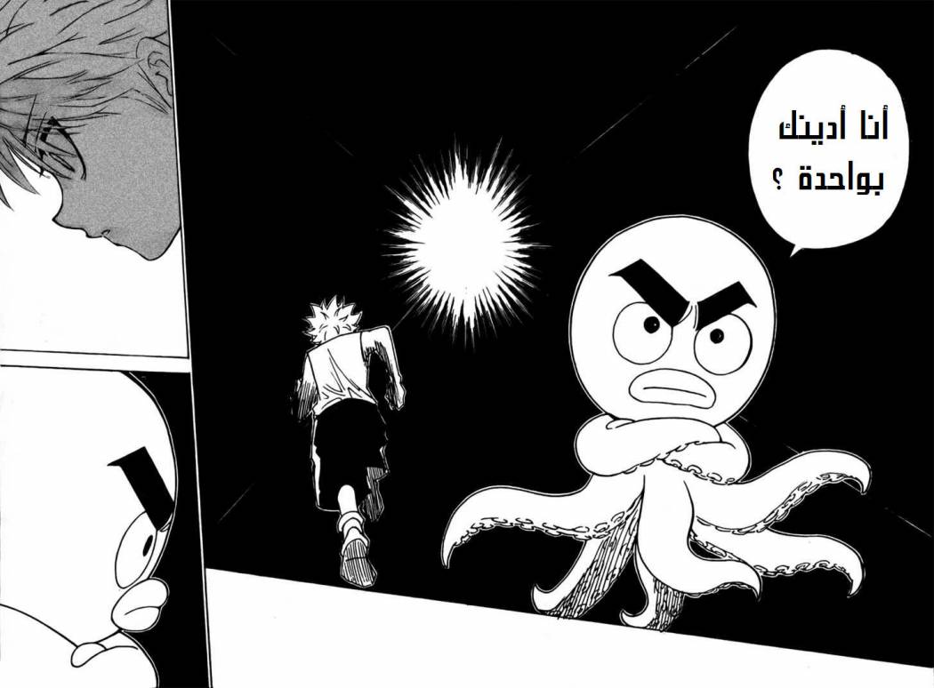 Hunter x Hunter: Chapter 270 - Page 11