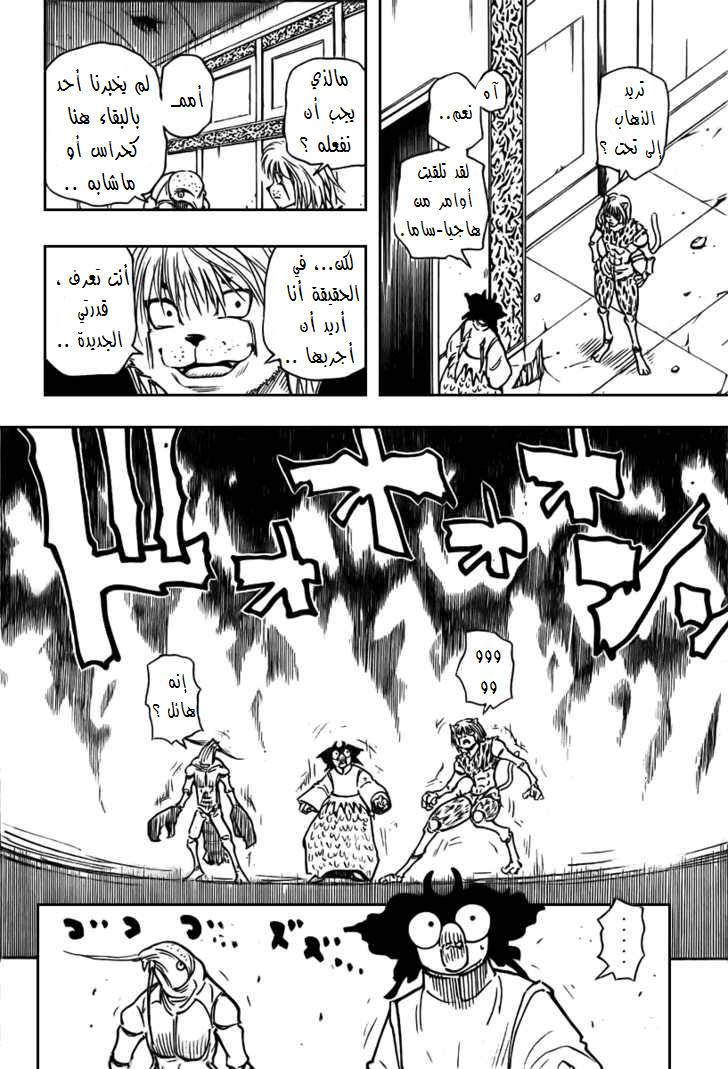 Hunter x Hunter: Chapter 271 - Page 17