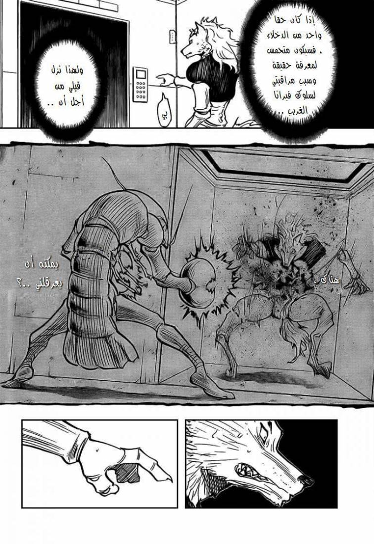 Hunter x Hunter: Chapter 273 - Page 12