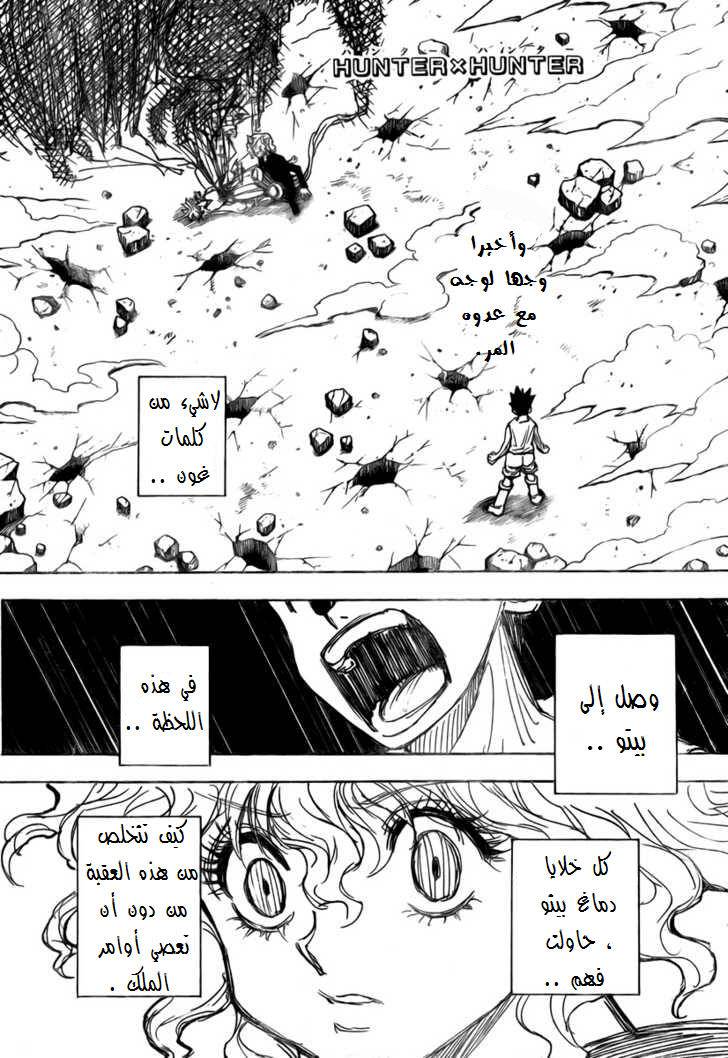 Hunter x Hunter: Chapter 274 - Page 2