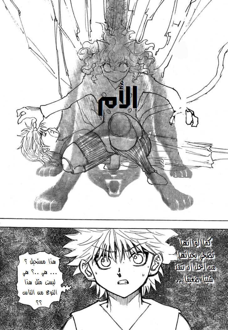 Hunter x Hunter: Chapter 274 - Page 6