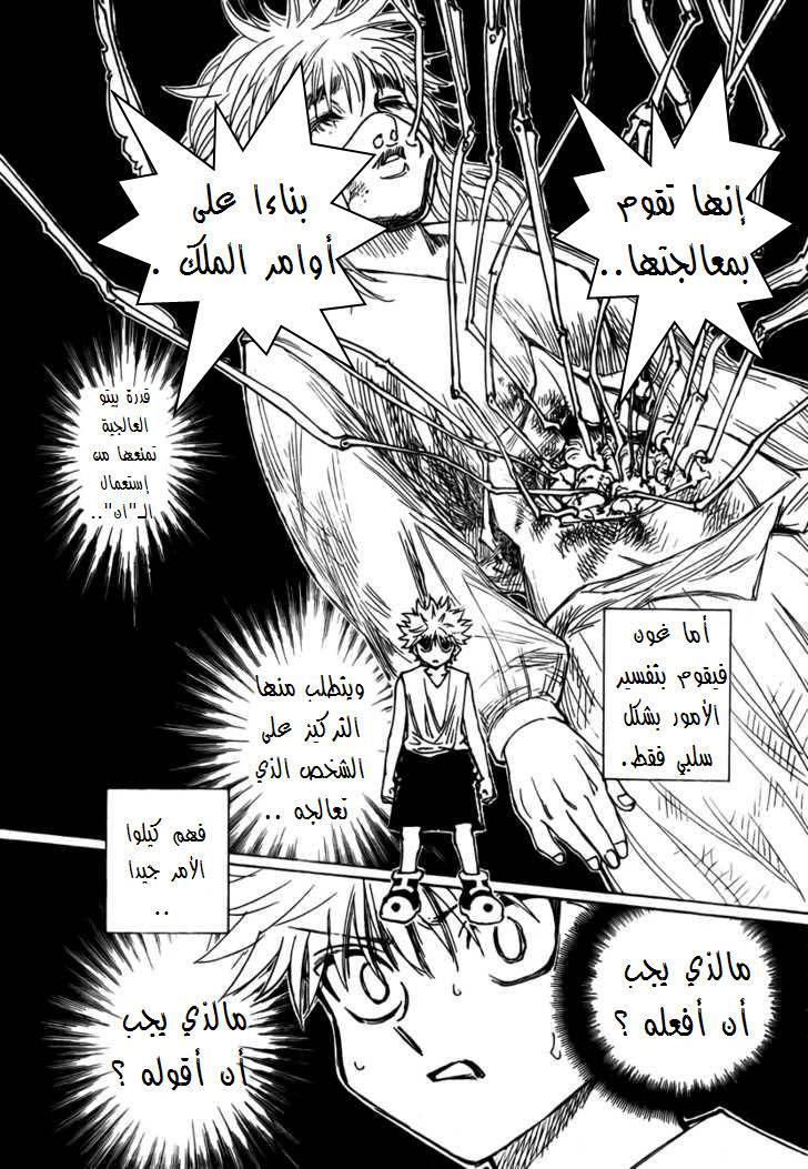 Hunter x Hunter: Chapter 274 - Page 13