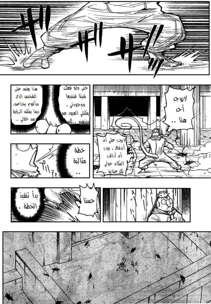 Hunter x Hunter: Chapter 276 - Page 10