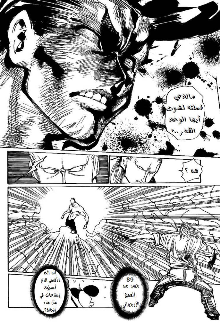 Hunter x Hunter: Chapter 284 - Page 16