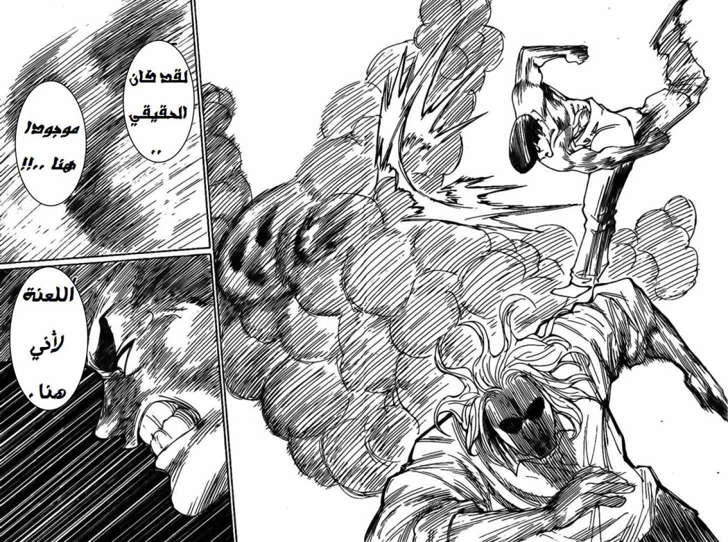 Hunter x Hunter: Chapter 285 - Page 15