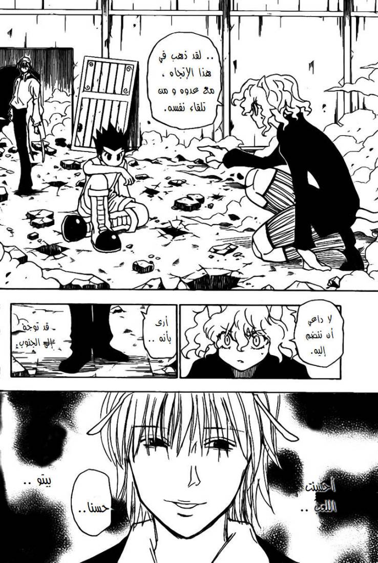 Hunter x Hunter: Chapter 288 - Page 3