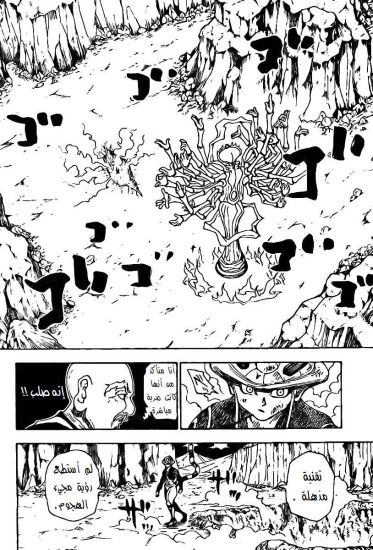 Hunter x Hunter: Chapter 290 - Page 11