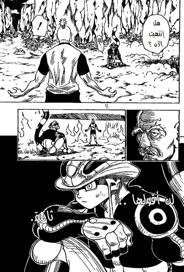 Hunter x Hunter: Chapter 290 - Page 12