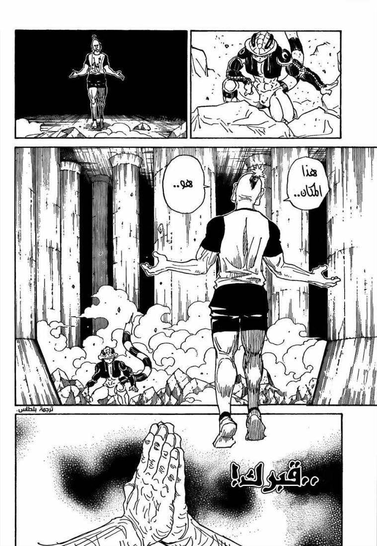 Hunter x Hunter: Chapter 291 - Page 14